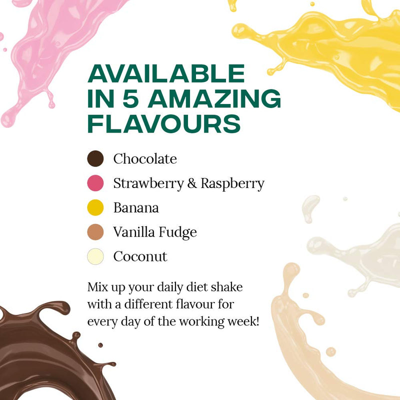 [Australia] - Reflex Nutrition Diet Shake | Diet Meal Replacement Shake | Diet Protein Powder (Vanilla Fudge) (600g) 