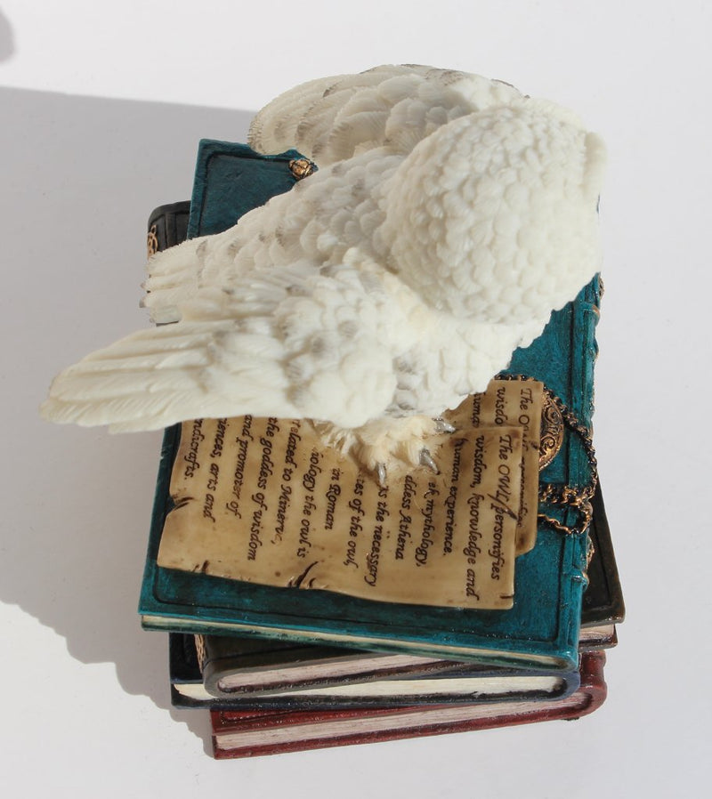 [Australia] - US 4.75 Inch Snow Owl Flap Wings on Books Trinket Box, White Color 