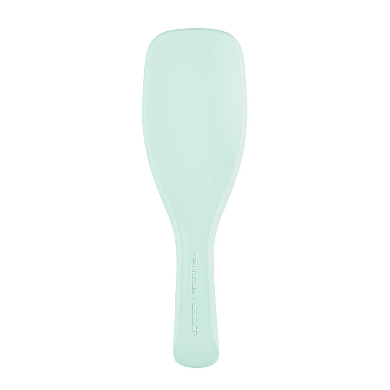 [Australia] - Tangle Teezer The Wet Detangler Fine & Fragile, Jade Lagoon 