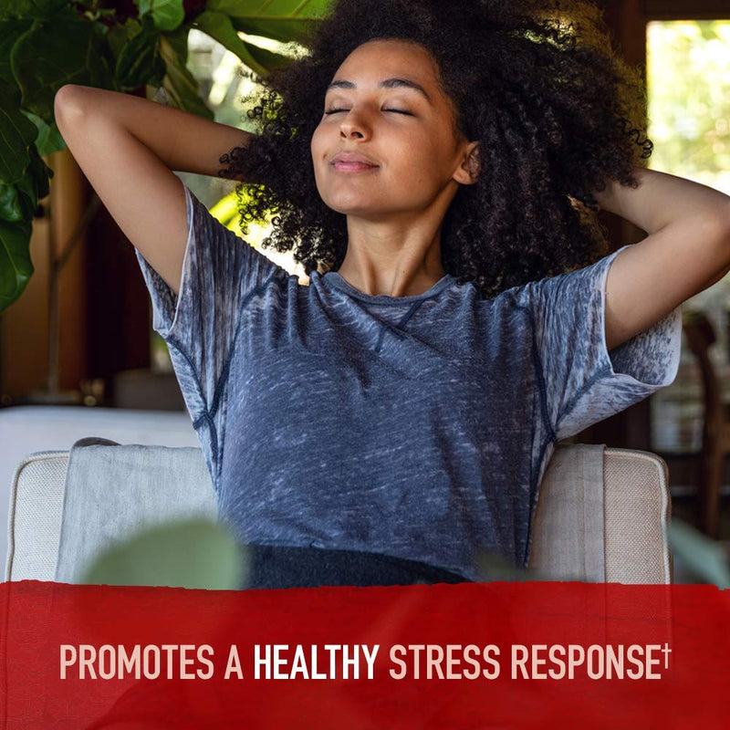 [Australia] - Organic Ashwagandha Stress, Mood & Energy Support Supplement with Probiotics & Ginger Root for Digestion - Garden of Life mykind Organics - Vegan, Gluten Free, Non GMO – 2 Month Supply, 60 Tablets 
