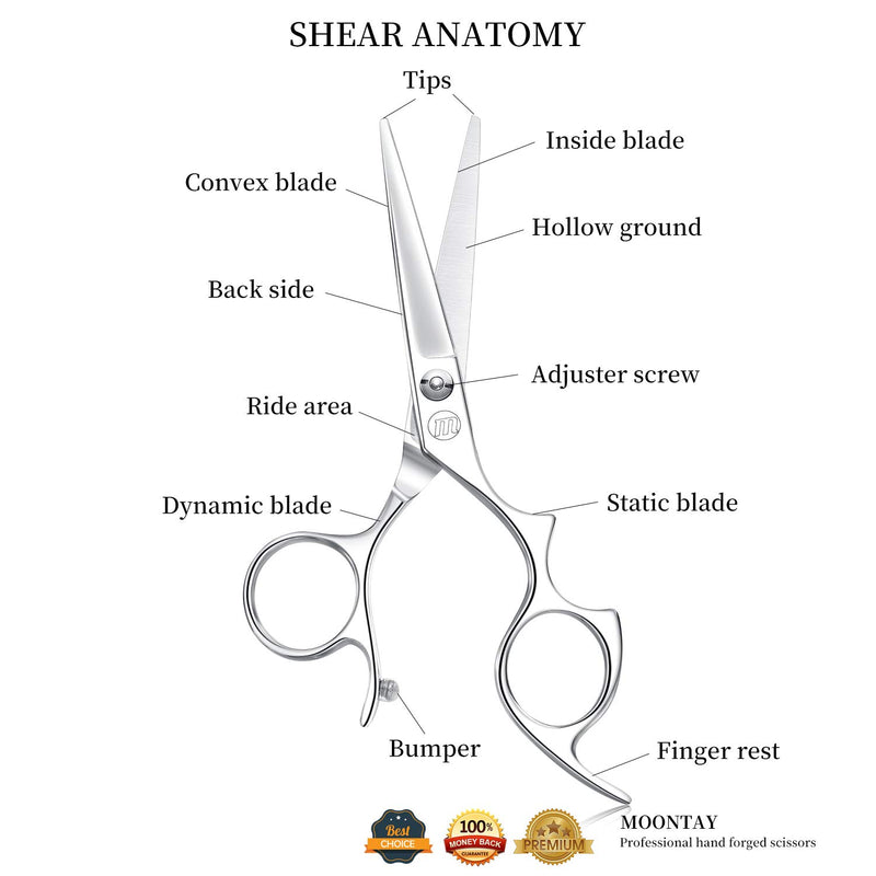 [Australia] - Moontay 5.5" Hair Cutting Shears with Large Finger Holes, Professional Barber Stylist Scissors, Salon Hair Cutting Scissors, 440C Japanese Stainless Steel, Silver 5.5 Inch 