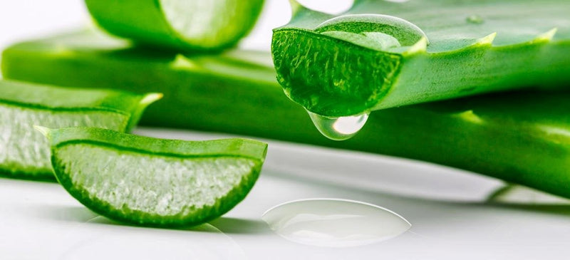 [Australia] - 100% Pure Aloe Vera Gel 200ml. Aloe Vera from organic farming, 0% added water, no preservatives, no perfumes 