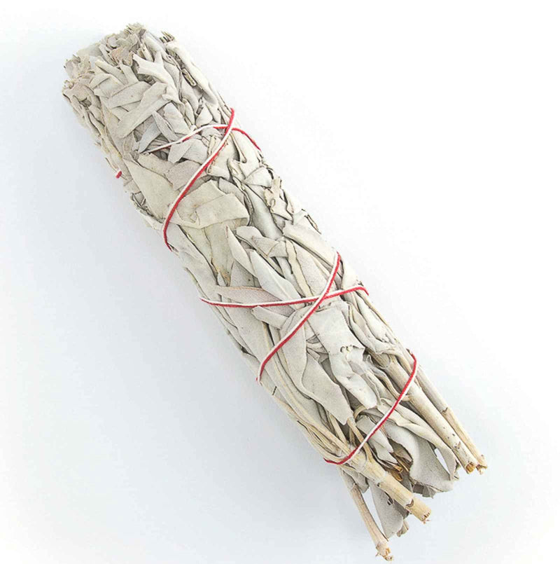 [Australia] - Pack of 2: WHITE SAGE Quality by Native Spirit XL Smudge Stick 7''-8'' (~18-21cm; je ~40-55gr) Incense fresh from California, buffalo sage, indian sage, wands 