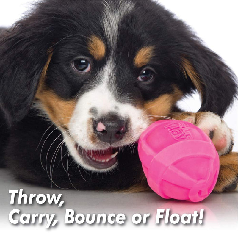 [Australia] - Hartz Dura Play Bacon Scented Squeak Bone Dog Toy, Multiple Dog Toy Sizes & Pack Sizes Medium 