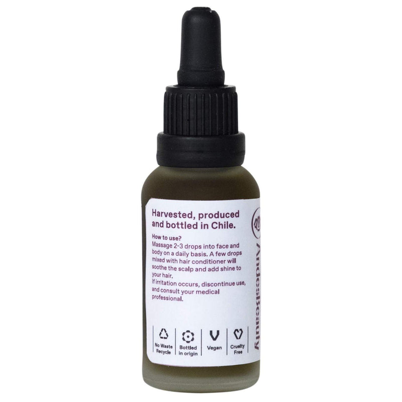 [Australia] - AndesBeauty Blueberry Seed Oil – 1 Fl Oz Pure and Natural Blueberry Oil for Hair, Skin, Nails - Cold-Pressed Blueberry Seeds – Rich in Antioxidants and Vitamin E - Soothing, Protecting and Nourishing 