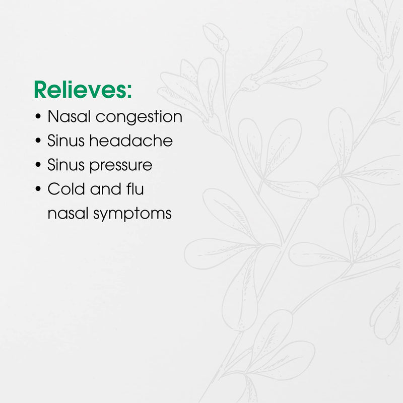 [Australia] - BHI Sinus, Natural Sinus Congestion Relief, Homeopathic Support for Nasal Cold Symptoms and Headache, 100 Tablets 