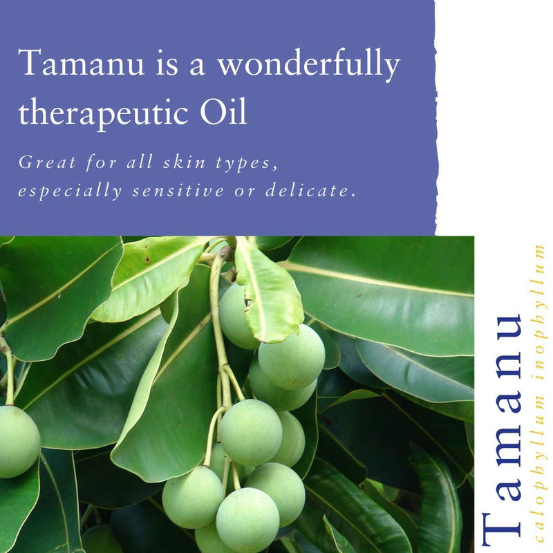 [Australia] - Absolute Aromas Tamanu Oil 150ml - Pure, Natural, Unrefined, Cold-Pressed, Cruelty Free, Vegan, No GMO ‚ÄìNatural Moisturiser and Collagen Booster for Skin, Body and Nails 150 ml (Pack of 1) 