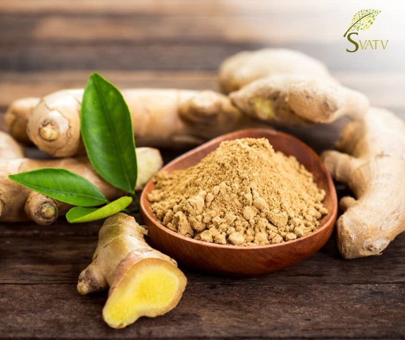 [Australia] - Svatv Ginger Root Powder (Zingiber officinale Roscoe) | Fresh Warming and Stimulating Herb | Powerful Antioxidants | Ground | Raw | Gluten Free Powder | 227g, 0.5lb, 8oz 