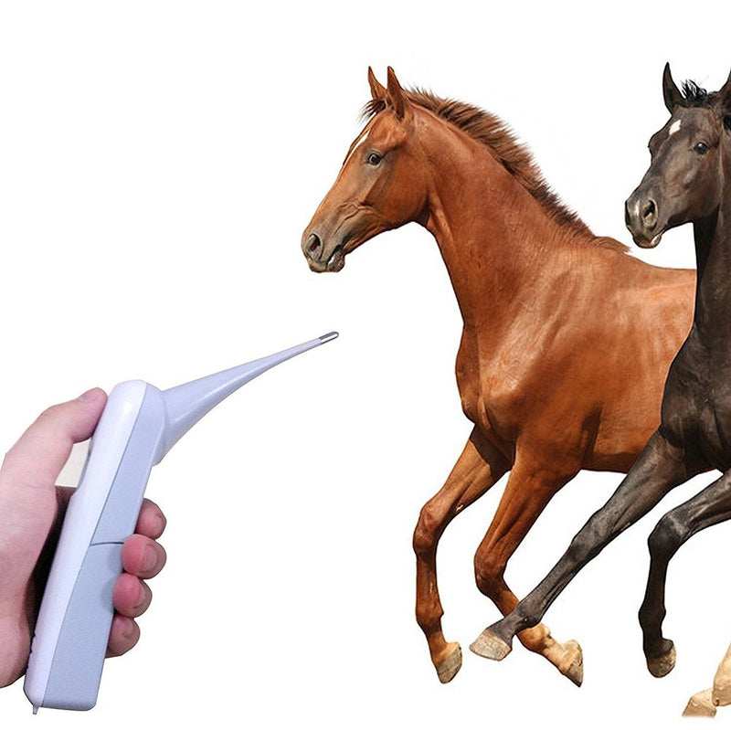 [Australia] - Animal Electronic Ehermometer Pet Thermometer Digital Thermometer is a Fast Rectal Thermometer for Dogs,Horse, Cats, Pigs,Sheep 