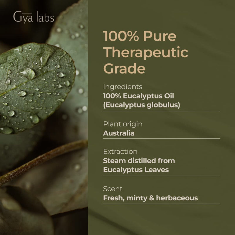 [Australia] - Gya Labs Eucalyptus Essential Oil - 100% Pure and Natural Eucalyptus Oil - Eucalyptus Oil for Diffuser, Fresh, Minty & Relieving Scent (10ml) 10 ml (Pack of 1) 