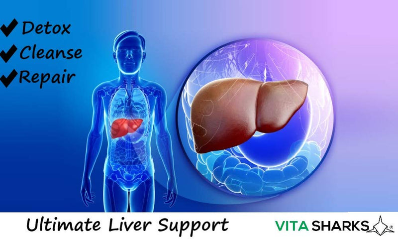 [Australia] - VitaSupport 60 Essential Liver Support & Cleanse. Potent, Kosher, Vegetarian & Natural Toxin Flush & Detox Formula with Biotin & Choline for Lipid Metabolism 