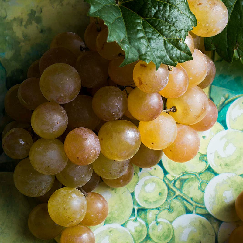 [Australia] - Korres Santorini Grape Body Smoothing Milk 