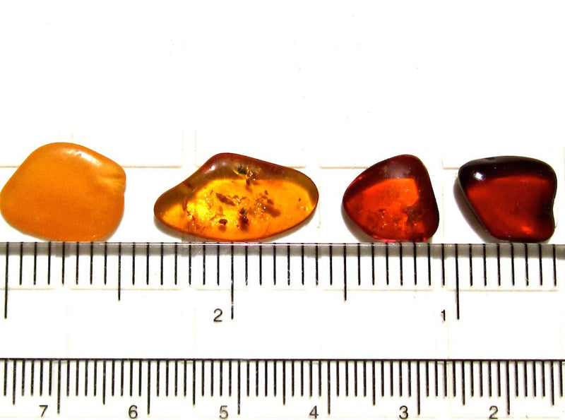 [Australia] - Ian and Valeri Co. Natural Baltic Amber Tiny Loose Gemstones Set of 5 
