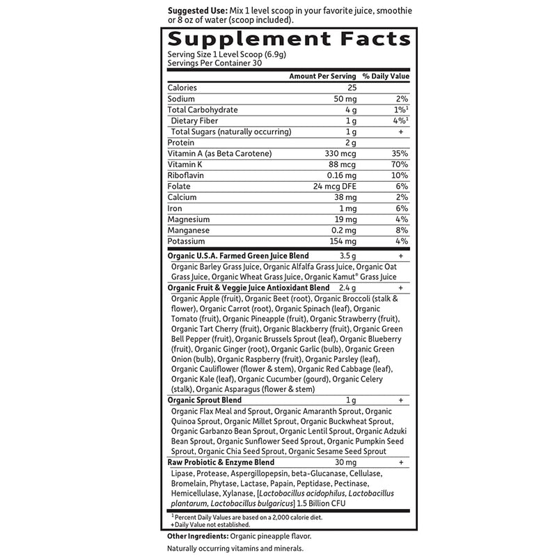 [Australia] - Garden of Life Raw Organic Perfect Food Green Superfood Juiced Greens Powder - Original Stevia-Free, 30 Servings, Non-GMO, Gluten Free Whole Food Dietary Supplement, Alkalize, Detoxify, Energize 30 Servings (Pack of 1) 