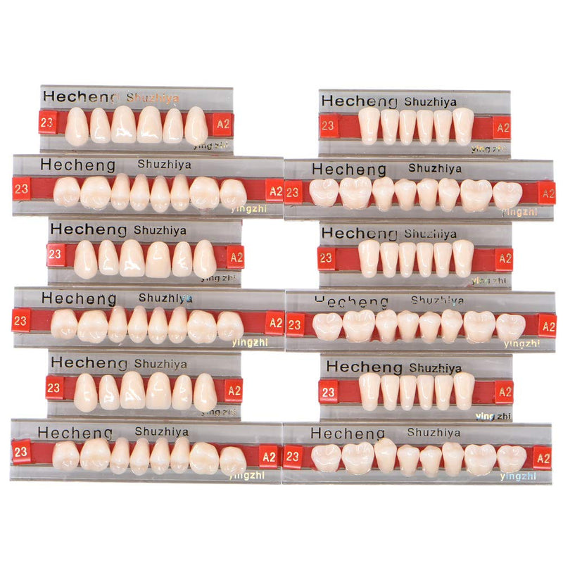 [Australia] - Angzhili 84 Pcs Dental Acrylic Resin Denture False Teeth 3 Sets Synthetic Polymer Resin Denture Teeth 23 Shade A2 Upper + Lower Dental Materials 