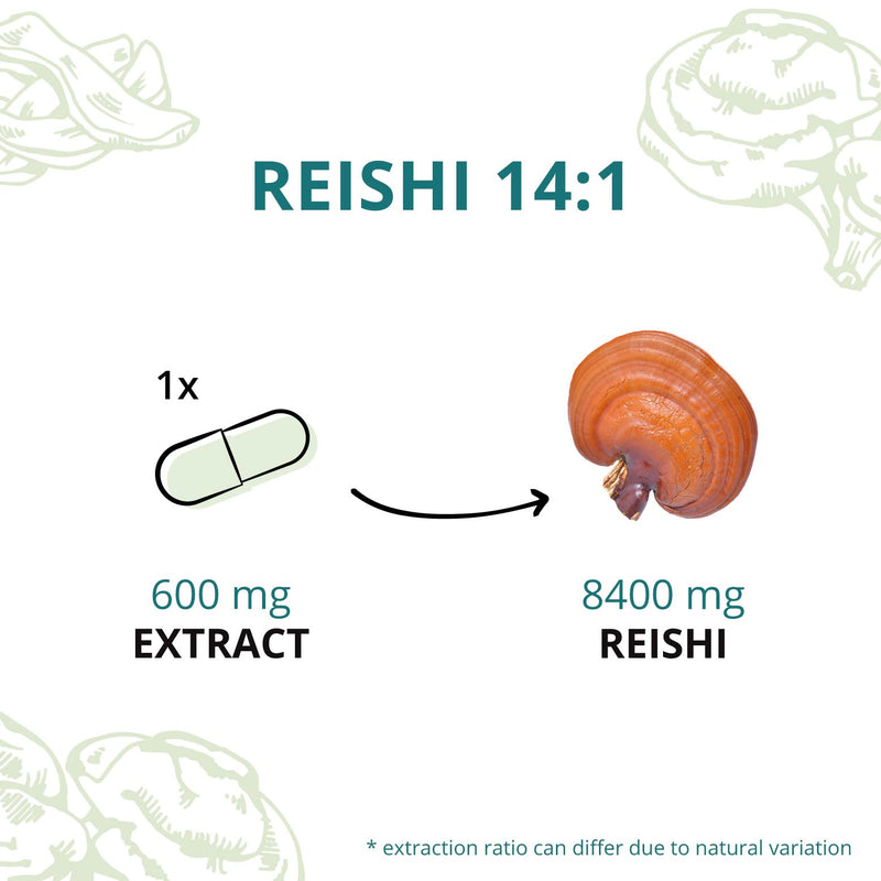 [Australia] - Organic Reishi Extract Vegavero� | 8400mg (14:1) Ganoderma Lucidum | with Polysaccharides & Beta Glucans | Mushroom Extract Powder | 90 Capsules | Vegan 