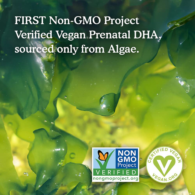 [Australia] - Garden of Life Dr. Formulated Prenatal Vegan DHA - Certified Vegan Omega 3 Supplement with 400mg DHA + DPA from Algal Omega 3 in Triglyceride Form, Non-GMO Algae Omega 3 for Vegans, 30 Softgels 
