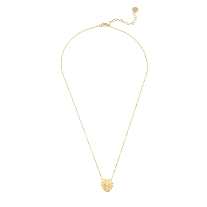 [Australia] - MUSTHAVE Monstera Leaf 18K Gold Plated Necklace with Message Card, Yellow and White Color, Anchor Chain, Best Gift Necklace, Size 16 inch + 2 inch Extender, Monstera Leaf Pendant, Gift Card Yellow Gold 