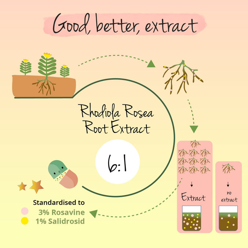 [Australia] - Premium Rhodiola Rosea Vegavero� | Rhodiolife� | 3% Rosavins & 1% Salidroside | NO Additives | Rhodiola Rosea Extract | Herbal Adaptogenic Supplement | 120 Capsules | Vegan 