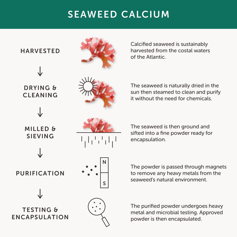 [Australia] - Calcium – Together Health – Seaweed-Based Calcium – 72 Trace Minerals – Vegan Friendly – Made in The UK – 60 Vegecaps 60 Count (Pack of 1) 