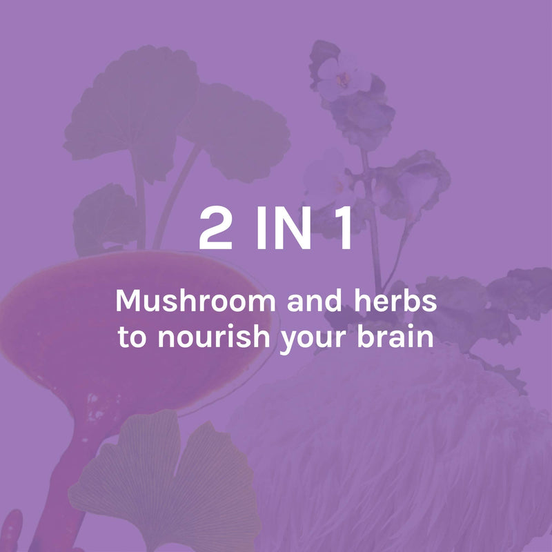 [Australia] - Host Defense, MycoBotanicals Brain Capsules, Promotes Concentration, Memory and Cognitive Function, Mushroom and Herb Supplement, Unflavored, 60 Standard Packaging 