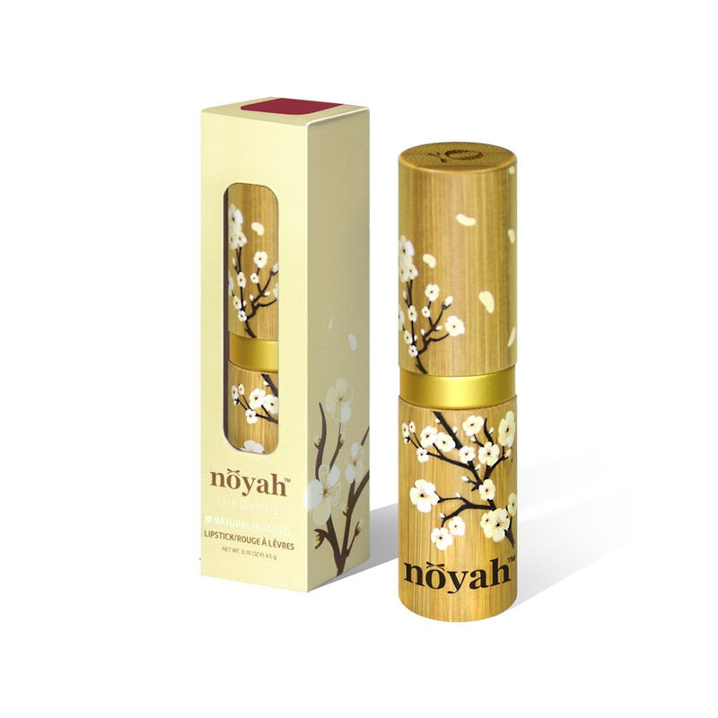 [Australia] - Noyah Natural Lipstick, Desert Rose, 0.16 oz + Natural Cosmetics E-book 0.16 Ounce 