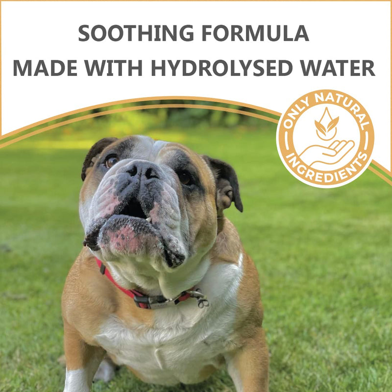 [Australia] - Pets Purest Cat & Dog Itchy Skin Relief Spray - 100% Natural Anti Itch, Scratch, Skin Irritation, Sore, Insect Bite & Allergy Treatment for Dogs & Cats - 250ml 