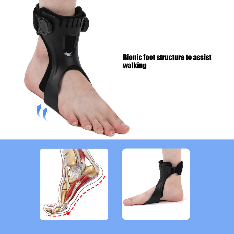 [Australia] - Drop Foot Brace, Soft AFO Foot-up Orthosis Light Balance Drop Foot Brace Foot Drop Orthosis Ankle Brace Support for Shoes Walking(L-Right) L Right 