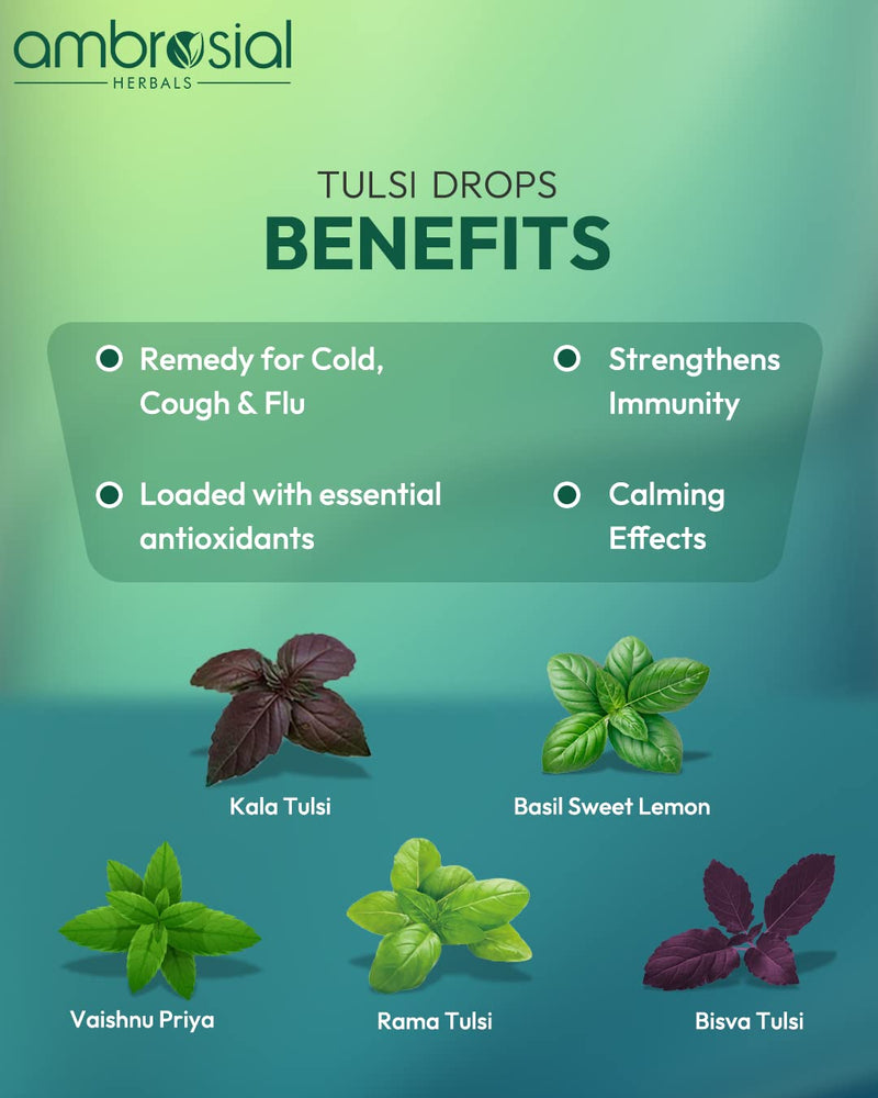 [Australia] - Ambrosial Tulsi Drops Concentrated Extract of 5 Tulsi 30ml | Natural Immunity Booster | Relieves Cough & Cold | Raw Extract of Holy Basil Leaf (30ml) Pack of 1 