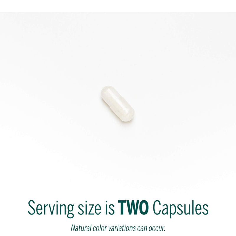 [Australia] - Genestra Brands V-Enzymes | Vegan Digestive Support to Help Lactose Digestion | 60 Capsules 