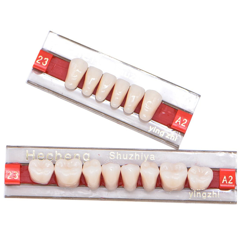 [Australia] - Angzhili 84 Pcs Dental Acrylic Resin Denture False Teeth 3 Sets Synthetic Polymer Resin Denture Teeth 23 Shade A2 Upper + Lower Dental Materials 