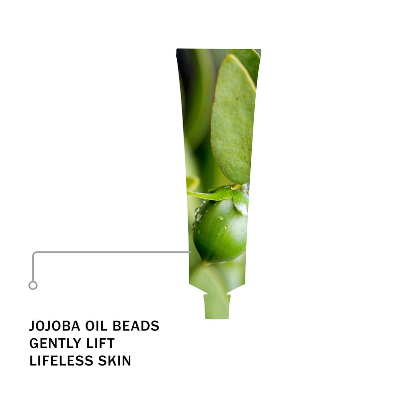 [Australia] - Reincarnation Pure Facial Polish & Exfoliator ‚Äì Gentle Facial Scrub For Clear Skin ‚Äì Jojoba Beads Natural Exfoliant with Nutrient-Rich Avocado Oil ‚Äì Dry Skin, Uneven Skin Tone & Mature Skin ‚Äì 75ml 