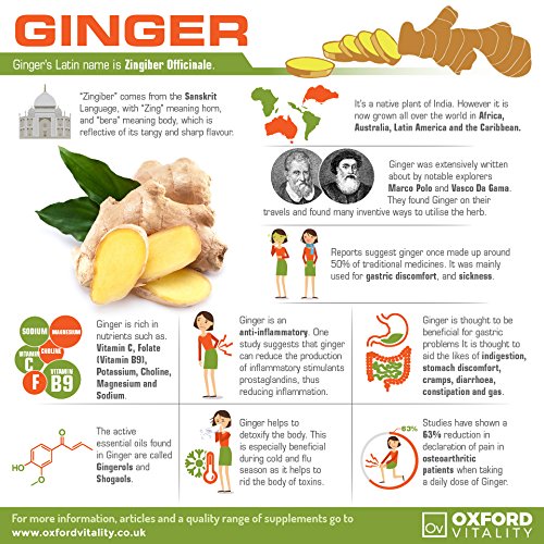 [Australia] - Ginger Tablets | Ultra Strength 6400mg Supplements | Oxford Vitality 120 Count (Pack of 1) 