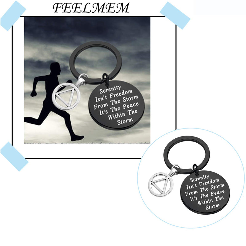 [Australia] - FEELMEM AA Recovery Serenity Prayer Keychain Sobriety Gift Serenity Peace Within The Storm Keyring with Alcoholics Anonymous AA Symbol Charm New Beginnings Jewelry for Men Women Black 