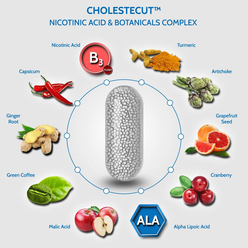 [Australia] - Health4All Cholestecut Vitamin B3 Niacin (Nicotinic Acid) 25mg & Botanicals Complex 60 Capsules (V) (not Tablets) for Healthy Cholesterol Management 60 Count (Pack of 1) 