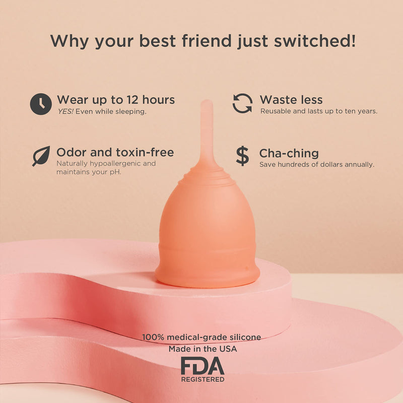 [Australia] - Saalt Soft Menstrual Cup - Best Sensitive Reusable Period Cup - Wear for 12 Hours - Tampon and Pad Alternative (Desert Blush, Regular) Desert Blush Regular (Pack of 1) 
