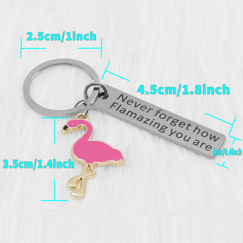 [Australia] - Motivational Flamingo Keychain Never Forget How Flamazing You are, Round Key Ring Chain Premium Key Organizer Flamingo Lover BFF Animal Lovers Gift for Women Girls 