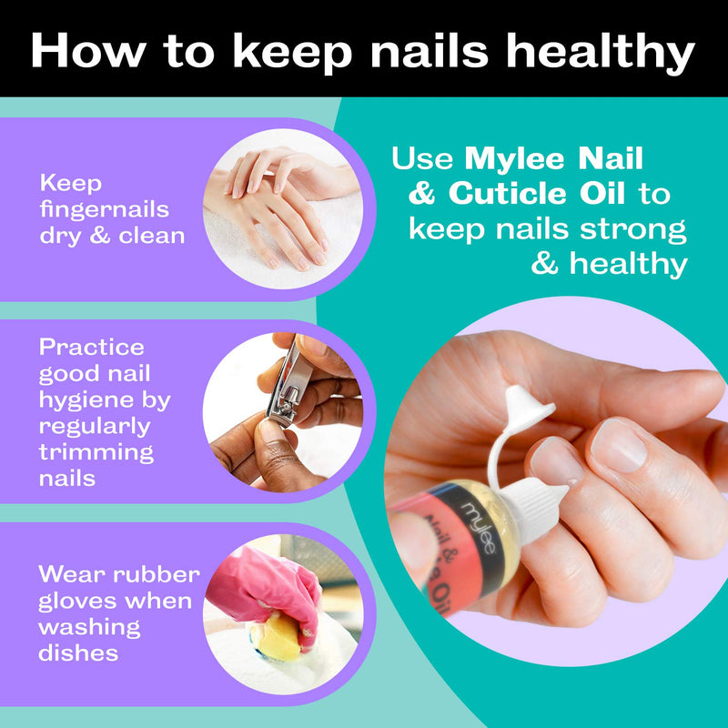[Australia] - Mylee Sweet Almond Nail & Cuticle Oil 50ml, – Deeply Hydrating & Nourishing Cuticle Conditioner Oil, Non-Greasy Formula and Leaves No Sticky Residue, Lightly Scented With Almond Oil 
