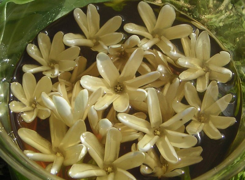 [Australia] - Mono'i de Tahiti'- Double Tiare' Scent-100% Natural-LIMITED EDITION-8 ounce 