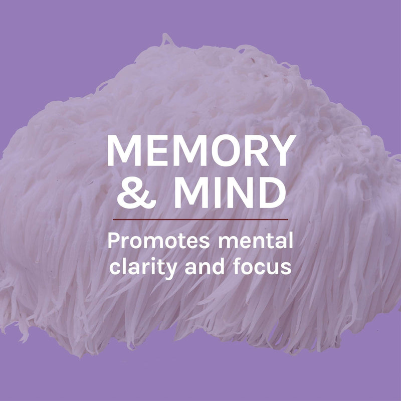 [Australia] - Host Defense, Lion's Mane Capsules, Promotes Mental Clarity, Focus and Memory, Mushroom Supplement, Unflavored, 120 120 Count (Pack of 1) Standard Packaging 