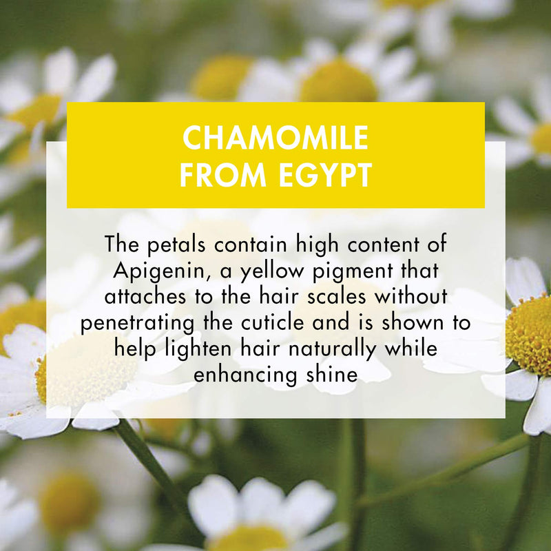 [Australia] - Klorane Camomille - Baume Apr√®s-Shampooing 200ml 