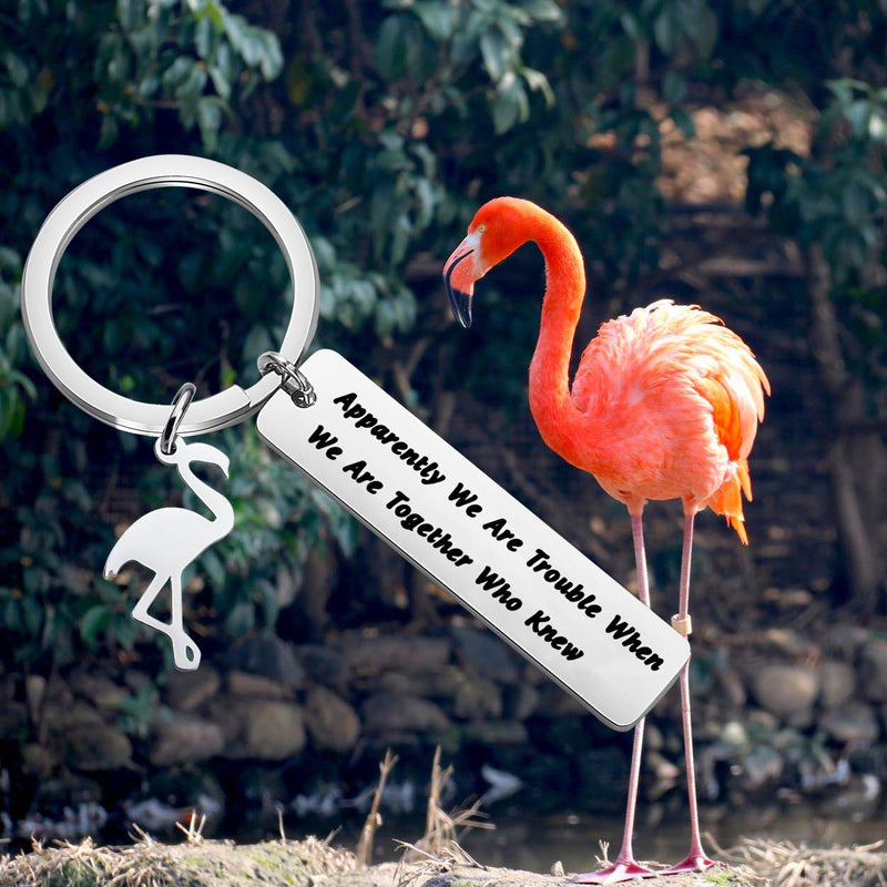 [Australia] - FOTAP Flamingo Party Gift Apparently We are Trouble When We are Together Who Knew Keychain Girl Weekends Gift Trouble keychain 