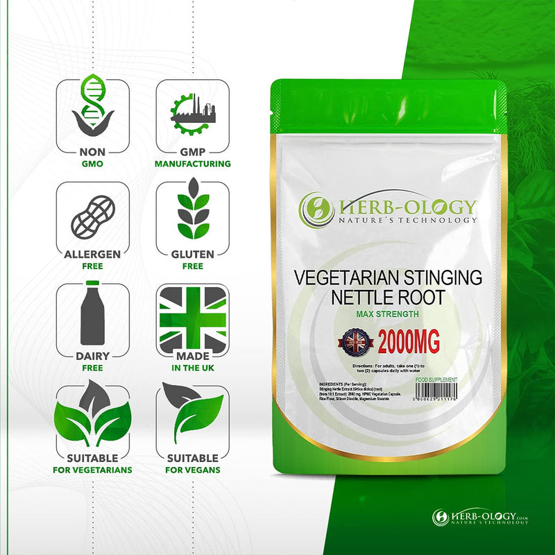 [Australia] - Herb-Ology Stinging Nettle Root Capsules | 120 Nettle Root Capsules (10:1 Extract) 2000mg per Serving | Suitable for Vegitarians & Manufactured in The UK in an ISO Certified Facility 120 Count (Pack of 1) 