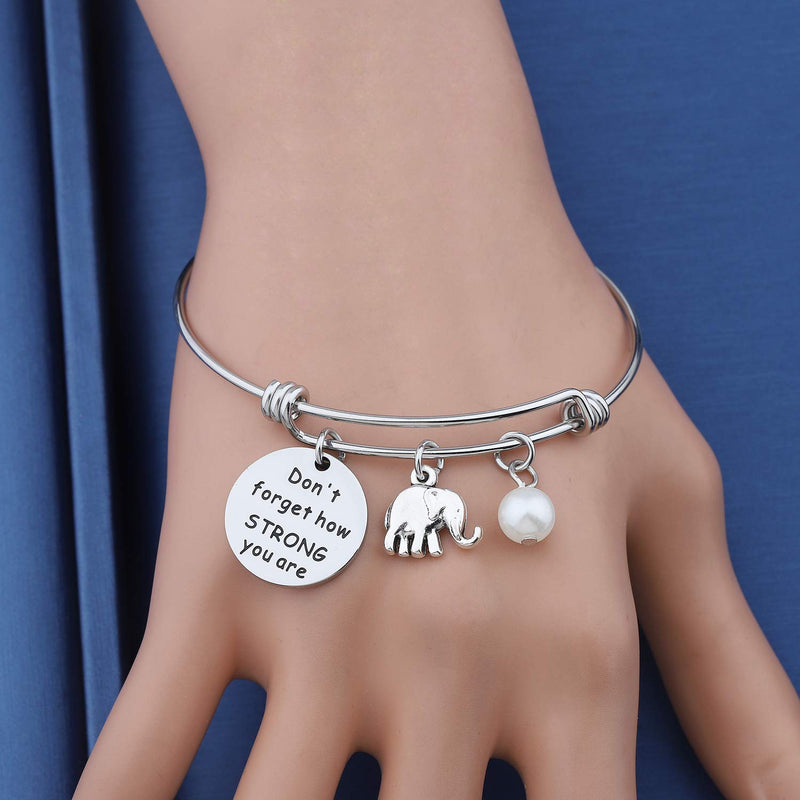 [Australia] - MYOSPARK Elephant Keychain Don't Forget How Strong You Are Inspirational Gift For Graduate Elephant Lovers Elephant Bracelet 