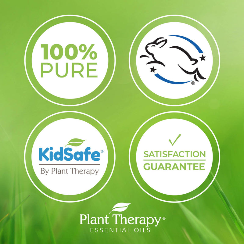 [Australia] - Plant Therapy Kidsafe Calming The Child Synergy Pre-Diluted Roll-On 10mL (1/3 oz) 100% Pure, Therapeutic Grade 