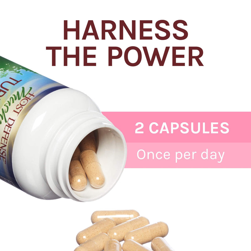 [Australia] - Host Defense, Turkey Tail Capsules, Natural Immune System and Digestive Support, Mushroom Supplement, Unflavored, 120 120 Capsules 