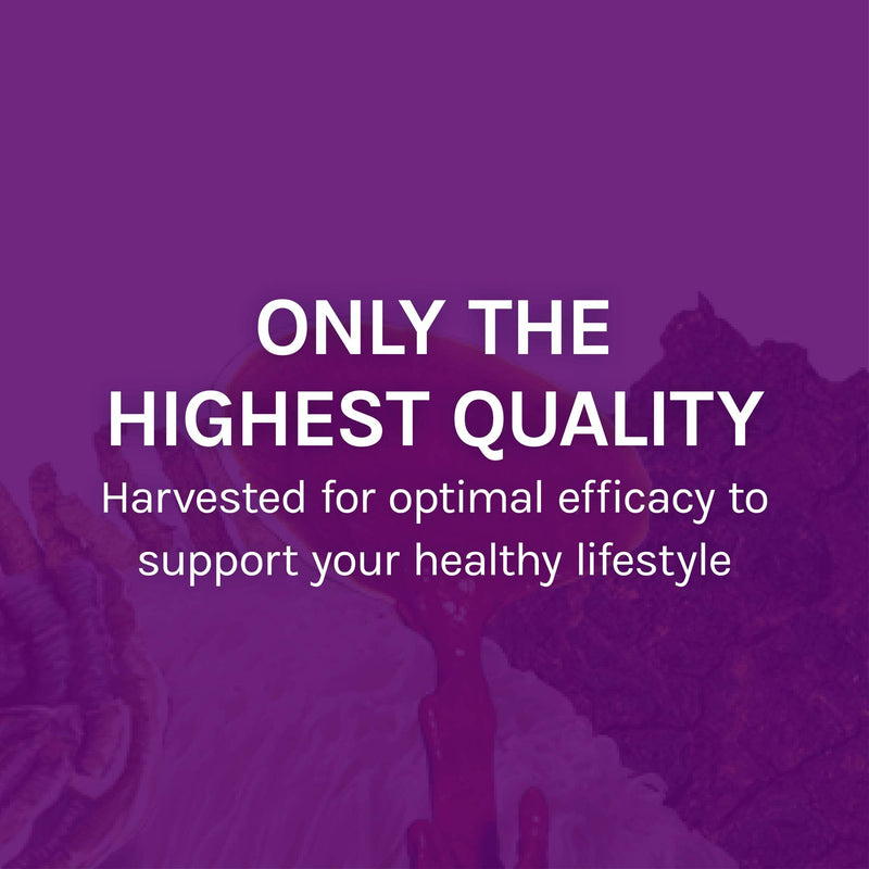 [Australia] - Host Defense, MyCommunity Capsules, Advanced Immune Support, Mushroom Supplement with Lion’s Mane, Reishi, Vegan, Organic, 120 Capsules (60 Servings) 120 Count (Pack of 1) Standard Packaging 