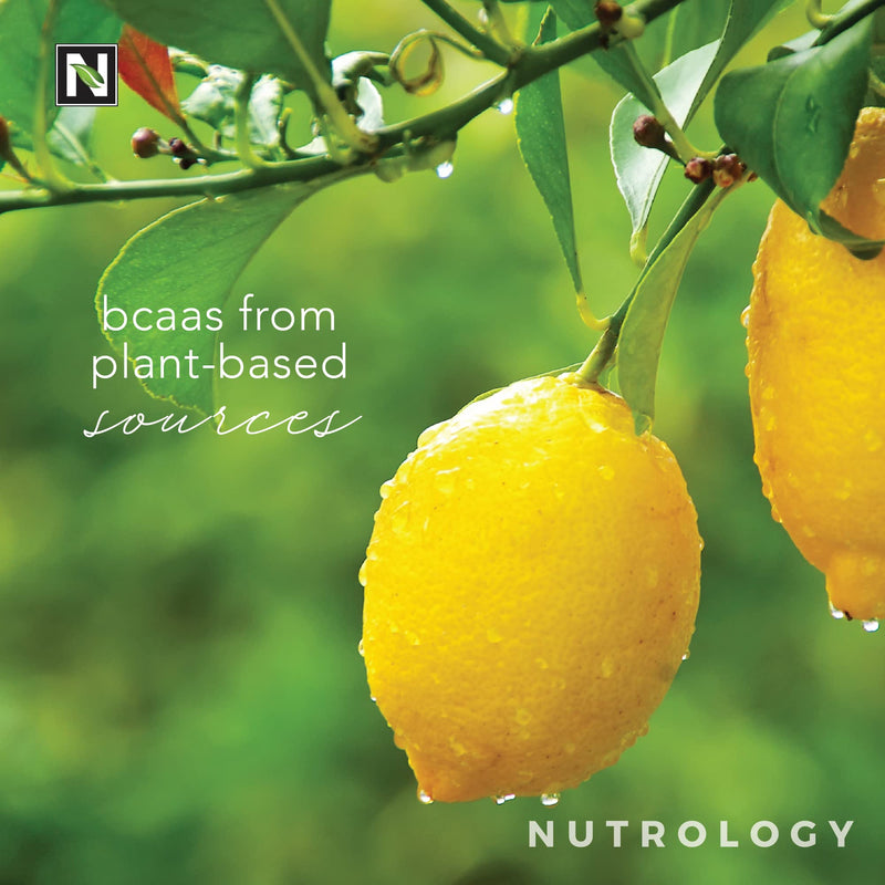 [Australia] - BCAA Natural-Non-GMO-Plant-Sourced Amino Acid Drink- Improve Performance -Enhance Recovery-Boost Immune Health-BCAA Drink Mix -Lemonade Flavor- 30 Serve Lemonade 
