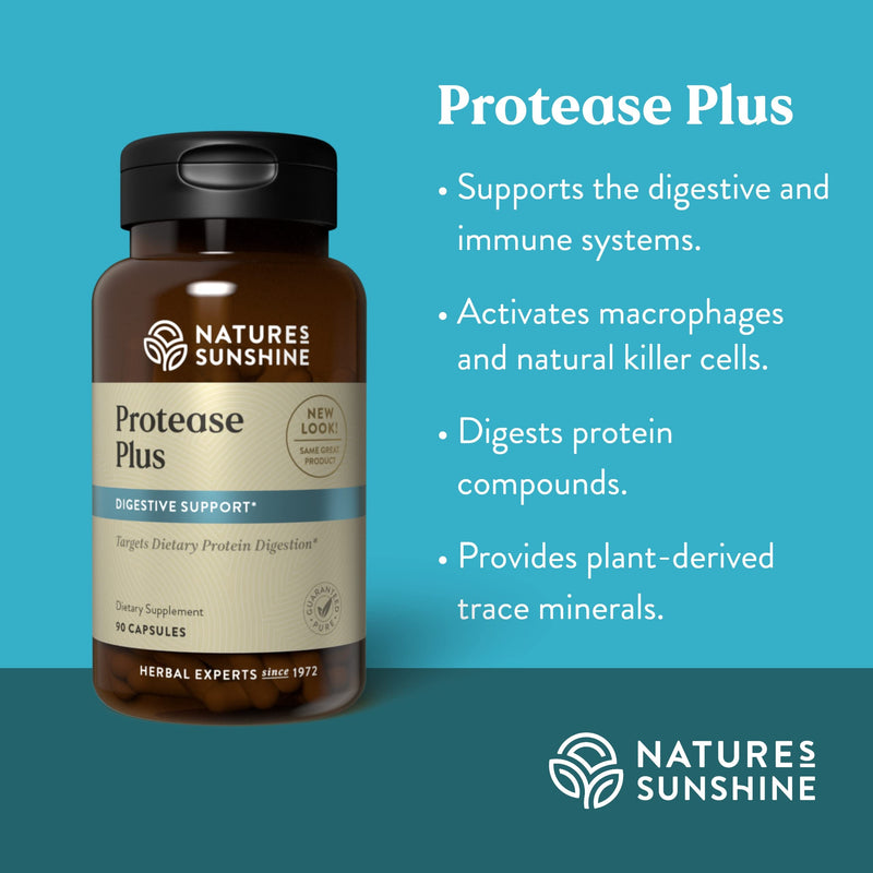 [Australia] - Nature's Sunshine Protease Plus, 90 Capsules | Powerful Digestive Enzyme Supplements with 60,000 HUT Protease to Break Down Proteins and Amino Acids 