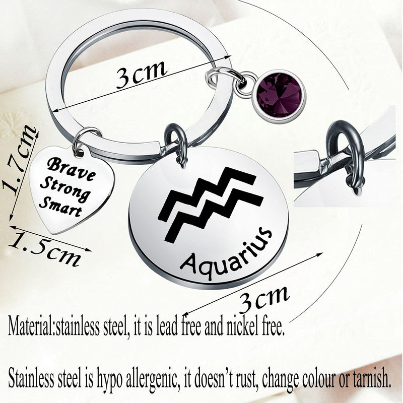 [Australia] - bobauna 12 Zodiac Constellation Disc Keychain Birthstone Horoscope Jewelry Astrology Gift for Family Friend Aquarius Keychain 